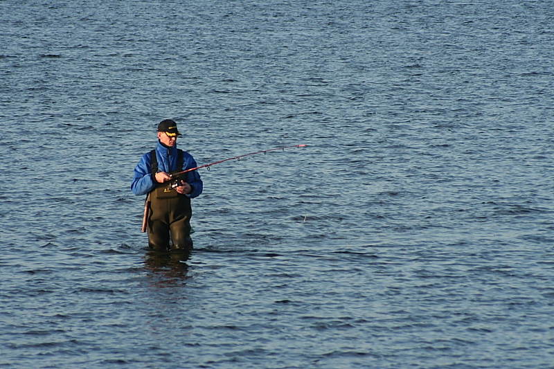 Bodden Gewsser Boddenlandschaften